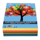 CARTON COLORAT 160G/MP A4 250COLI 10 CUL. ECADA 36162