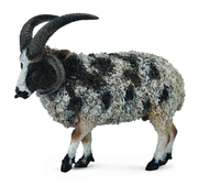 Figurina Jacob Sheep L Collecta