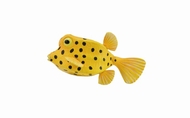 Figurina Peste Cubicus Boxfish S Collecta