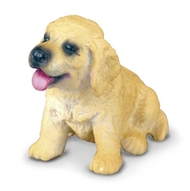 Golden Retriever Pui S Collecta