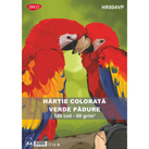 HARTIE COLORATA HR804VP 80G/MP A4 500C DACO V. PADURE