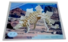 Joc puzzle lemn -S- dinozaur steg J002-2